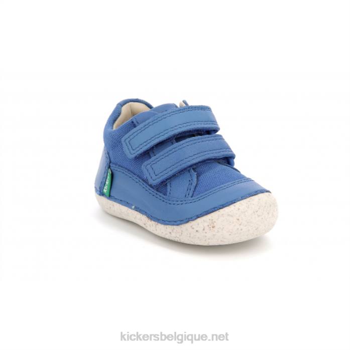 bleu sostankro enfants KickersDT22851