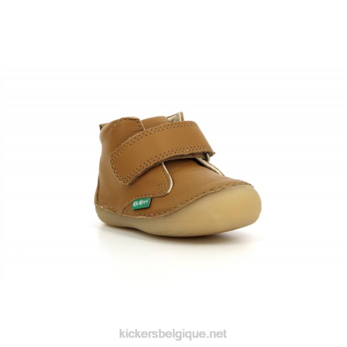 chameau sabio enfants KickersDT22792