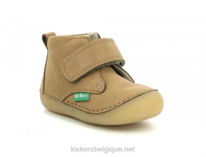 chameau sabio enfants KickersDT22892