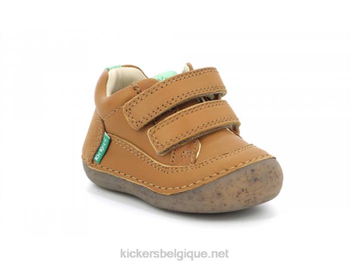 chameau sostankro enfants KickersDT22914