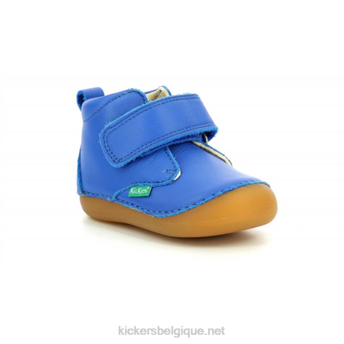 sabio bleu enfants KickersDT22886