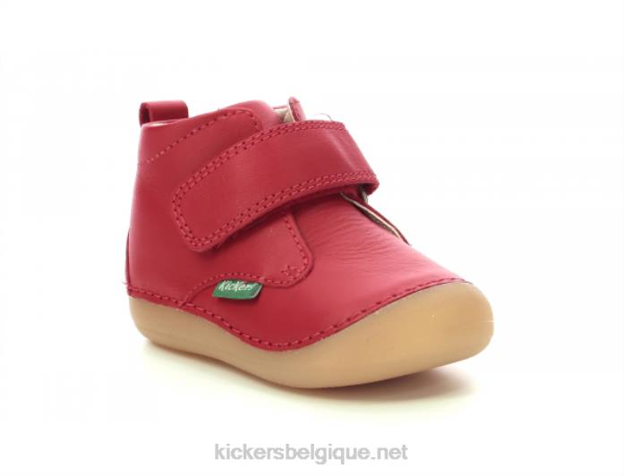 sabio rouge enfants KickersDT22862