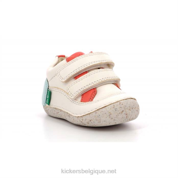 sostankro blanc rose bleu enfants KickersDT22833