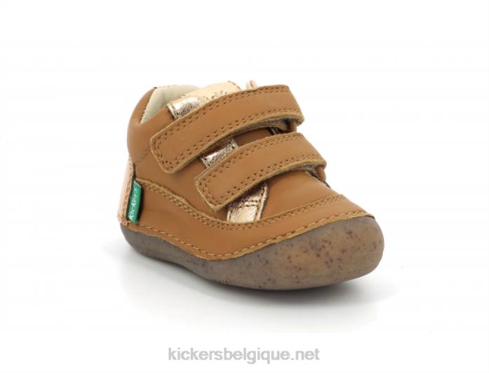 sostankro chameau or enfants KickersDT22891