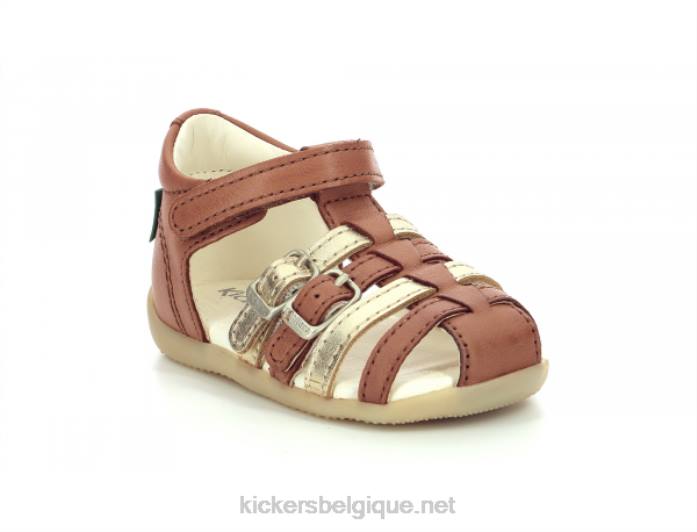 bigkro chameau or enfants KickersDT22695