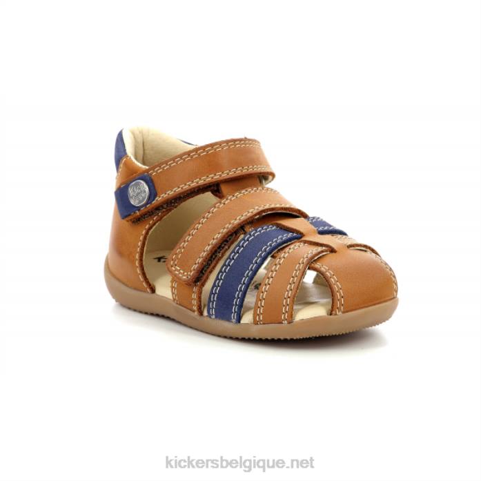 bipied camel bleu enfants KickersDT22696