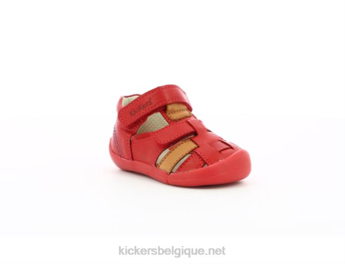 camel rouge wasabou enfants KickersDT22436