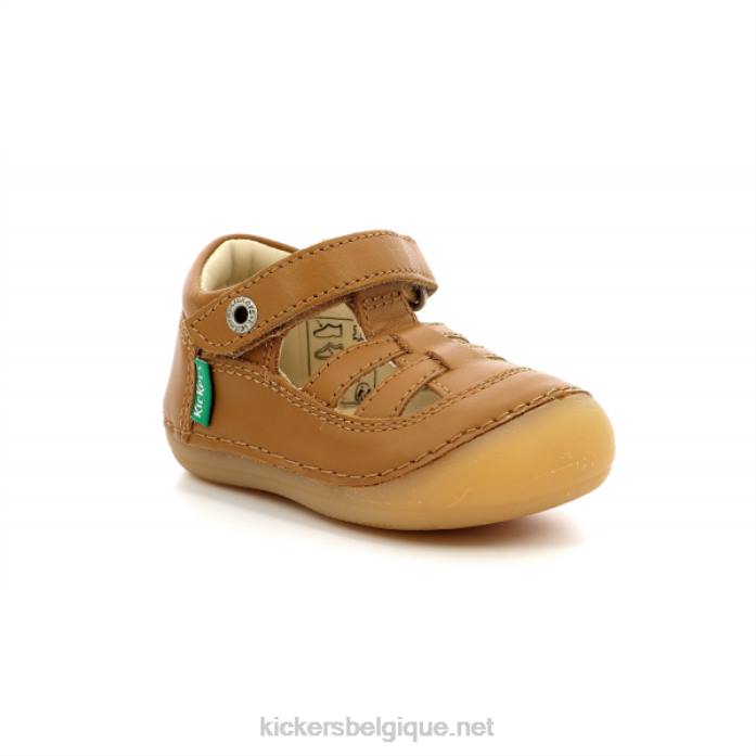 chameau moelleux enfants KickersDT22511