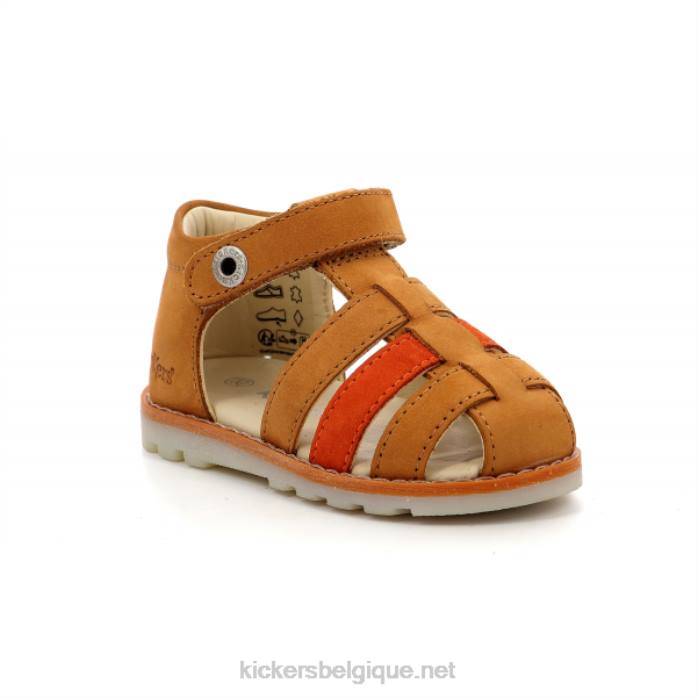 chameau orange nonopi enfants KickersDT22700