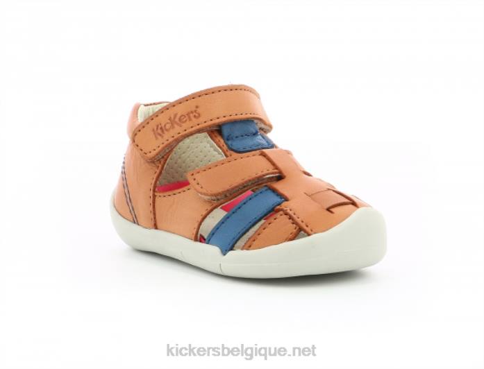 wasabou camel bleu enfants KickersDT22559