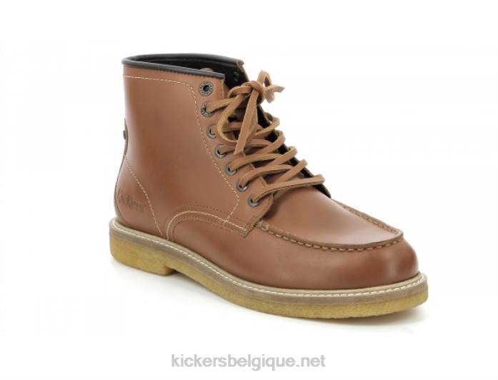 brun horuzy Hommes KickersDT22350