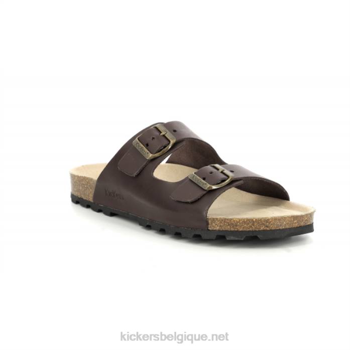 coup de pied wapiti marron Hommes KickersDT22293